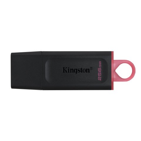Memoria Usb 256gb Kingston Dtx 256 Usb3.2