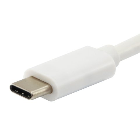 Cable Usb Platinum Usb-c Macho A Usb-c Macho 2m Equip Color Blanco