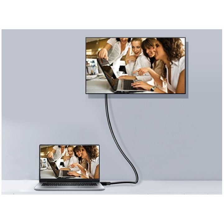 Cable Displayport A Displayport 1.2 1m Equip 119331