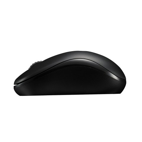 Mouse Rapoo Wireless M10 Plus 2.4ghz 3 Botones 1000 Dpi Color Negro