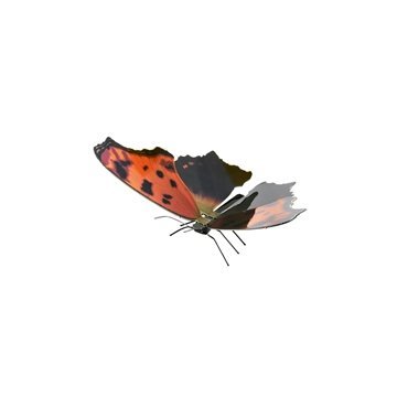 Maqueta 3d Metal Fascinations Mariposa Eastern Comma... 2