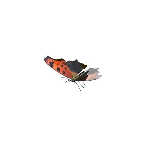 Maqueta 3d Metal Fascinations Mariposa Eastern...