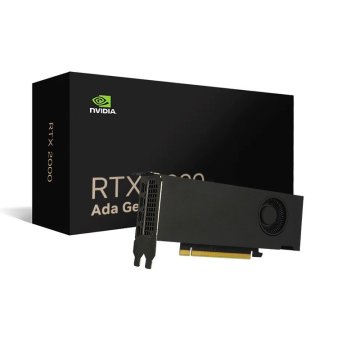 Vga Nvidia Quadro Rtx 2000 Ada 16 Gb Gddr6 2 Brackets Lp...