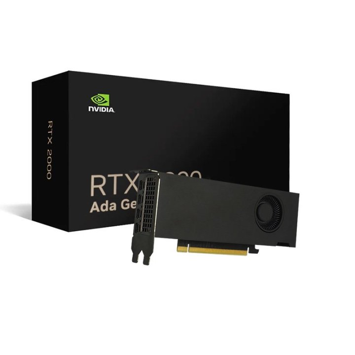 Vga Nvidia Quadro Rtx 2000 Ada 16 Gb Gddr6 2 Brackets Lp  Bulk  4x Mini Displayport