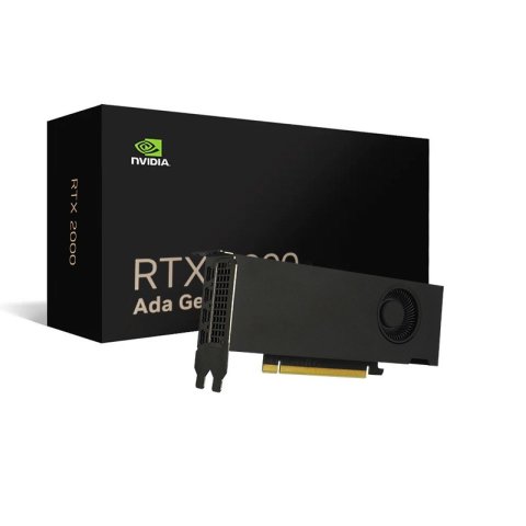 Vga Nvidia Quadro Rtx 2000 Ada 16 Gb Gddr6 2 Brackets Lp  Bulk  4x Mini Displayport