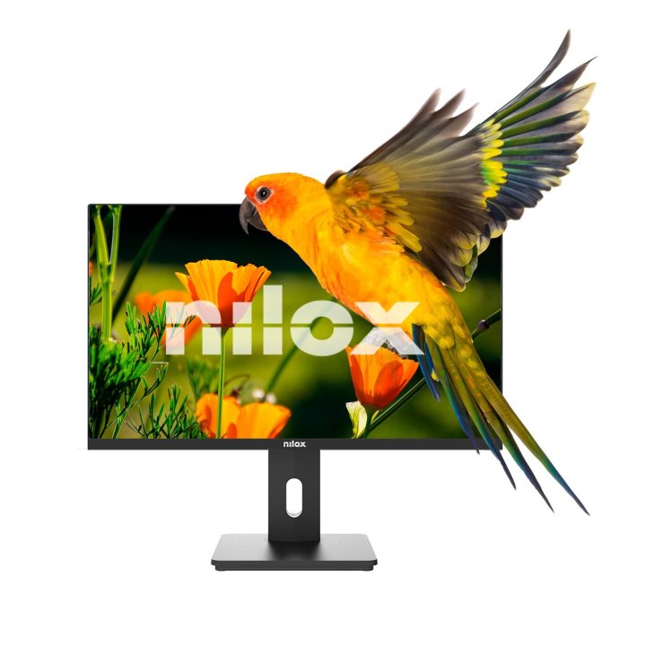 Monitor 24" Dp Hdmi Vga Nilox Nxm24reg02 Fhd 4ms 75hz 300cd m2 Vesa 100x100