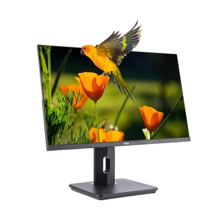 Monitor 24" Dp Hdmi Vga Nilox Nxm24reg02 Fhd 4ms 75hz 300cd m2 Vesa 100x100