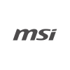 MSI